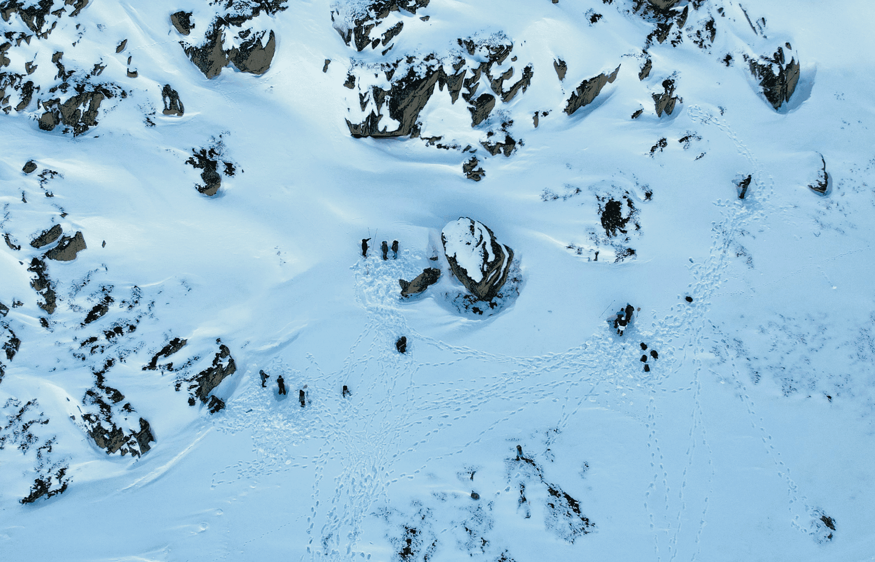 Course fieldwork, Sisimiut