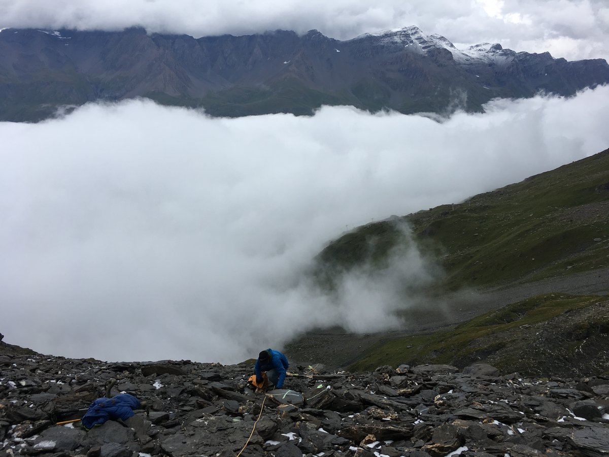 ERT electrical resistivity tomography survey, Lou rock glacier, September 2016.