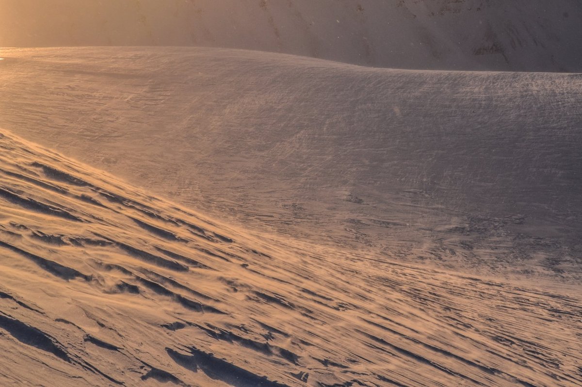Wind-packed sastrugi in low-angle light, Svalbard. The same surface type as Sval1 and Sval2 in the snow depth maps, where the method performed best.